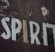 Marija zaric O3 Spc Vmj NFA unsplash