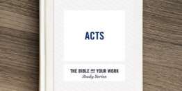 Acts (Bible Study Book)